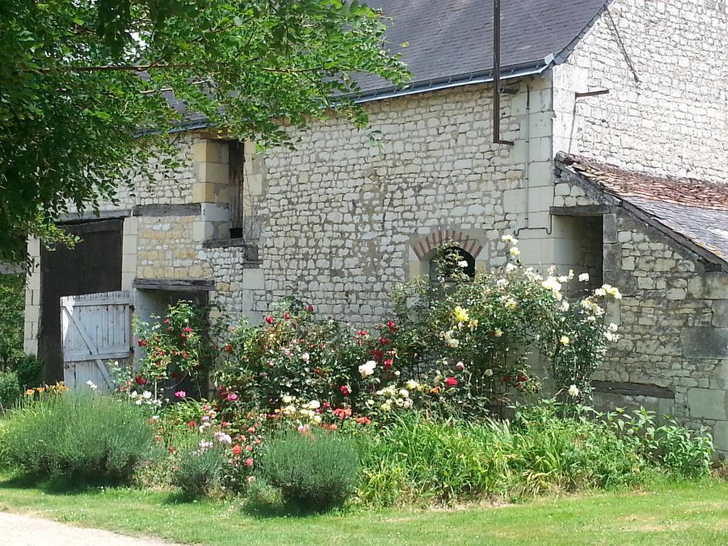 Bed and Breakfast La clé des jardins Nouâtre Exterior foto