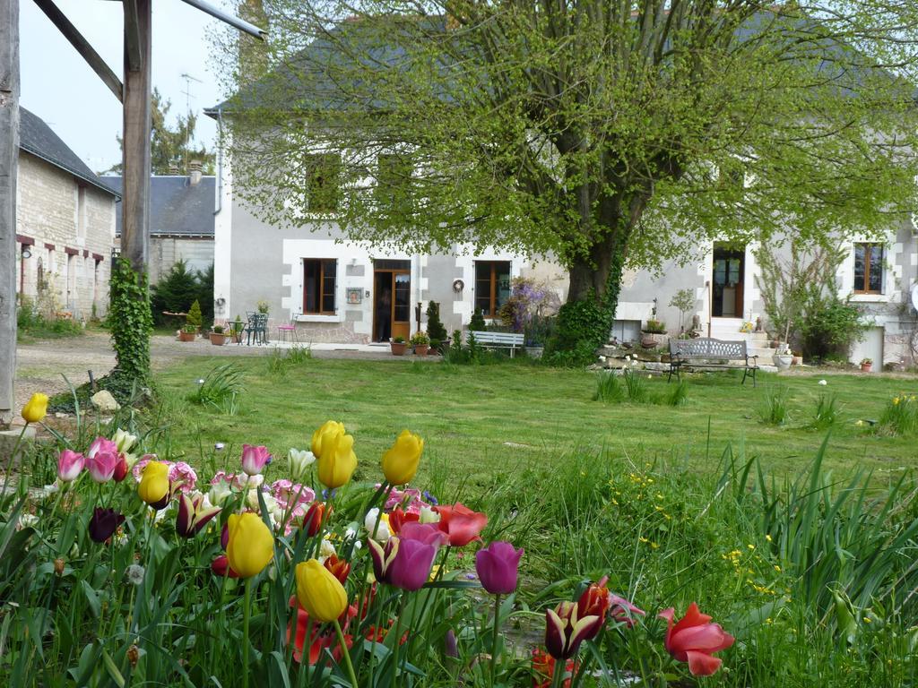Bed and Breakfast La clé des jardins Nouâtre Exterior foto