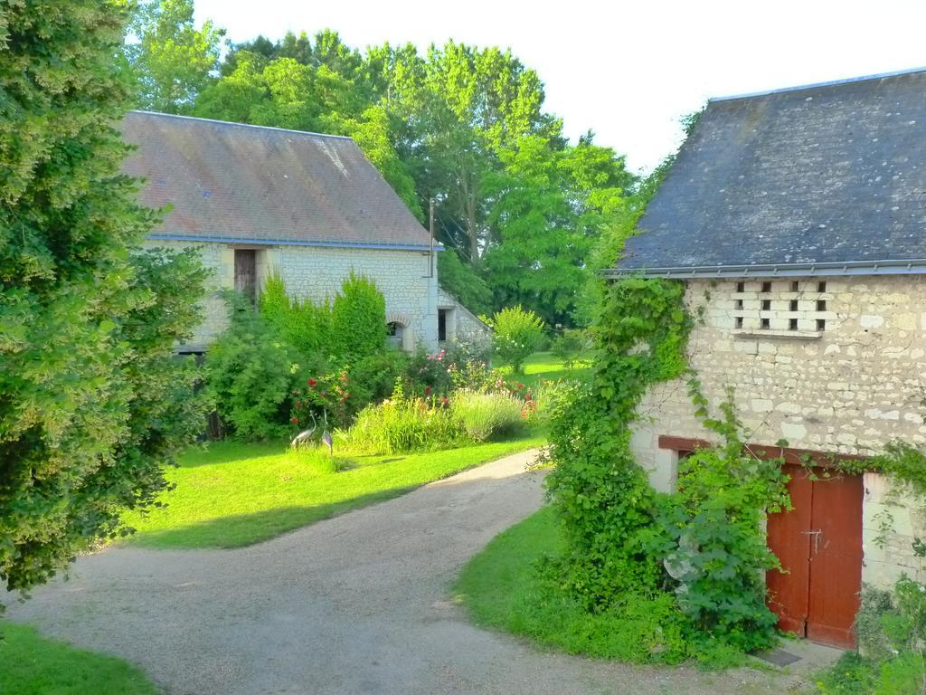 Bed and Breakfast La clé des jardins Nouâtre Exterior foto